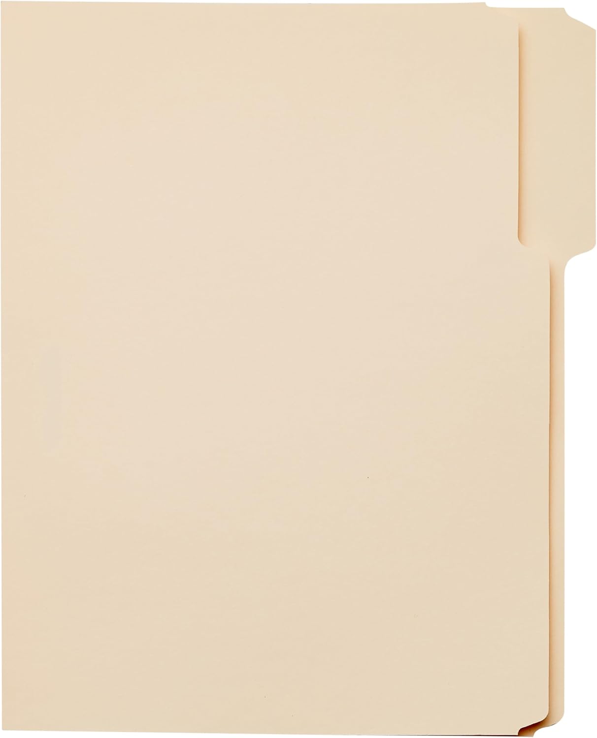 Reinforced Tab File Folders, Letter Size, 100-Pack - Image 3